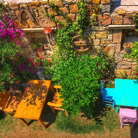 Parmis Boutique House 招待所