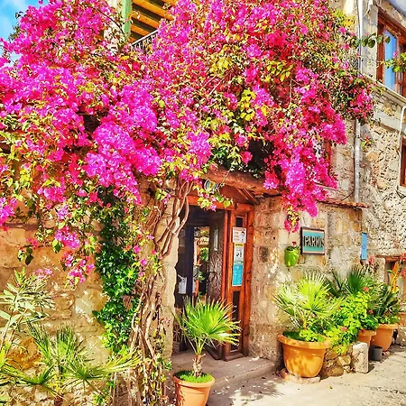 Parmis Boutique House בית הארחה